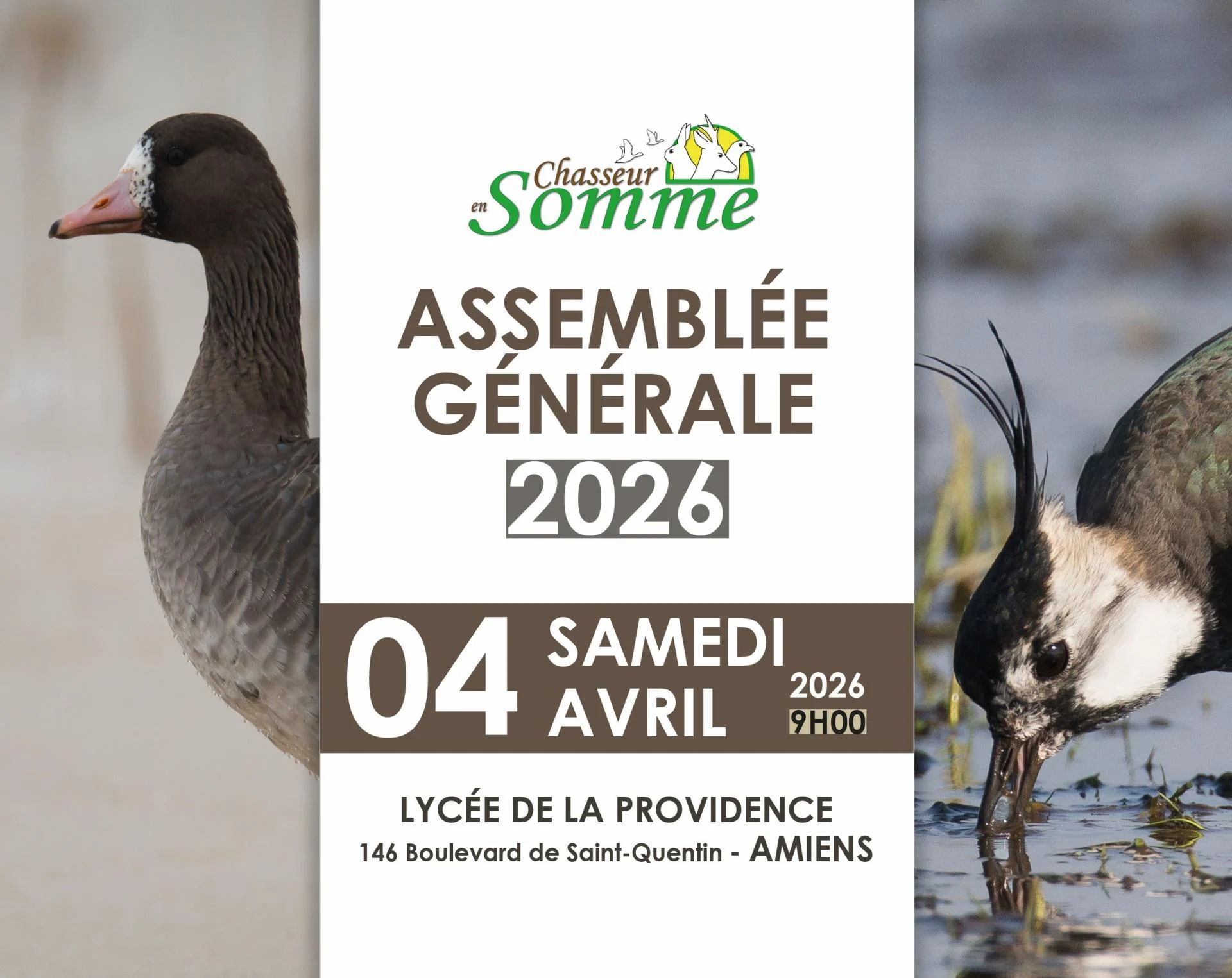 Ag2026 site internet copie