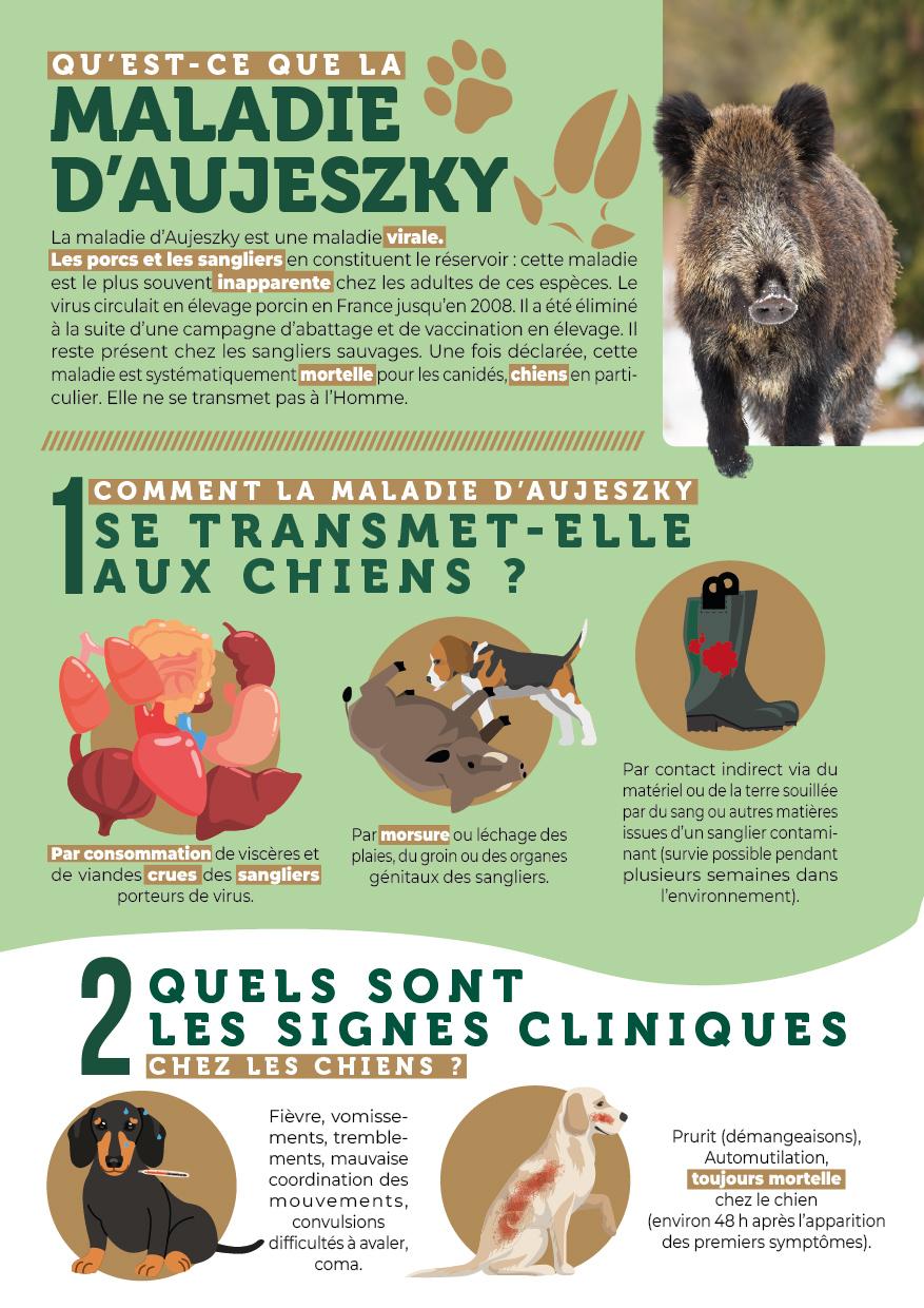Fnc depliant maladie d aujeszky page a page 20916 bat 02