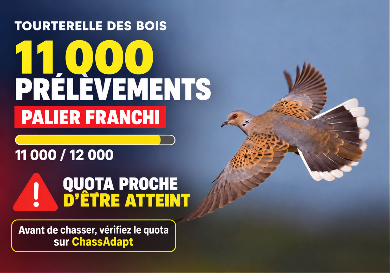 Tdb quota proche etre atteint